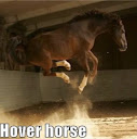 Hover Horse avatar