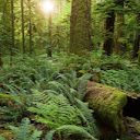 Amrith Gopikrishnan avatar