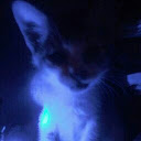 MD.Toufiq Hamid Seum avatar